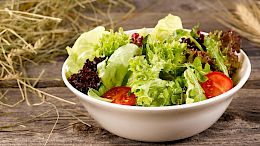 dobula-jager-salatalar_0001